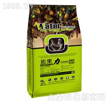 膨果力-德?tīng)柹? />
                                </div>
                            </div>
                            
                            <style type=