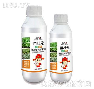 ������L(zh��ng)�⺦��-���Ԫ-���A����(l��)