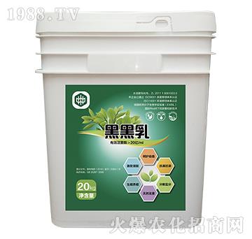 黑黑乳-中植聯(lián)合