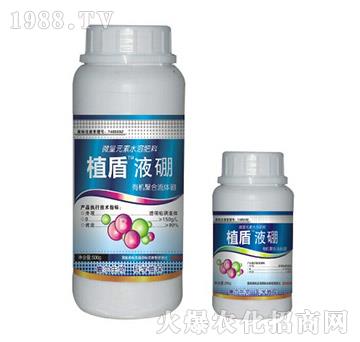 Һ��-ֲ��-� �����