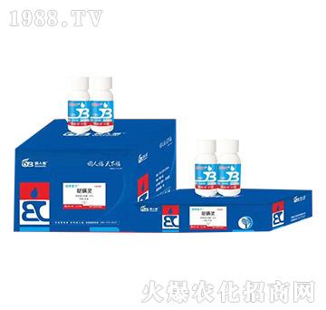 ���׌�(zhu��n)��ˎ-��������-��(gu��)�˸�