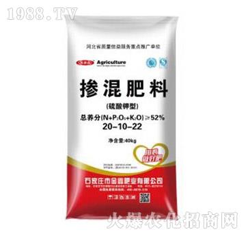 �������20-10-22-���ηʘI(y��)