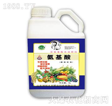 氨基酸-田園季豐-大豐肥業(yè)