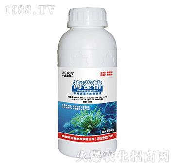 ���徫-�W˹�D