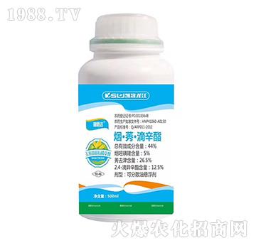 44%����ݬ��������-��˼�_(d��)-�P������