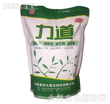 ����-����Ƽ�