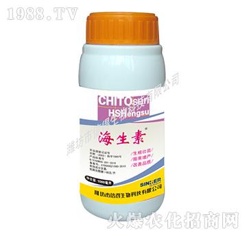 �������~���-�ŵ�