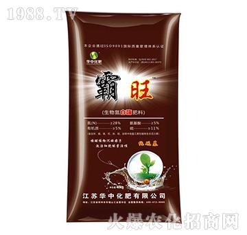 ���ﵪ��ø����-����-�A�л���