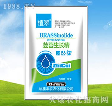 蕓苔生長(zhǎng)精-植翠-豐農(nóng)農(nóng)化