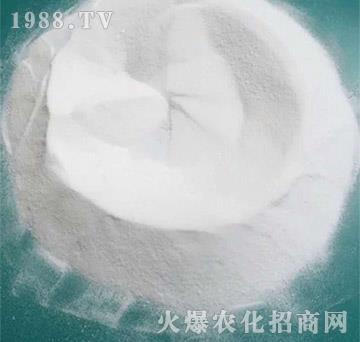 �ЙC(j��)����-���㺣