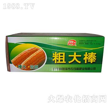 ���׌��÷�-�ִ��-�r(n��ng)�ɸ�