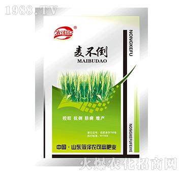 100��������-�r(n��ng)�ɸ�