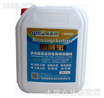 �๦�܏�(f��)��΢�����ЙC(j��)����-����˹