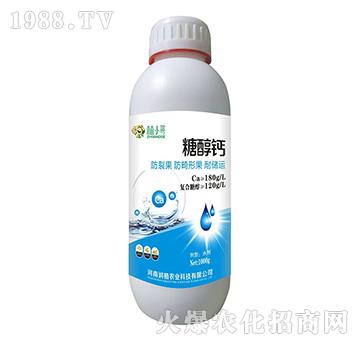 �Ǵ��}-��(r��n)ֲ