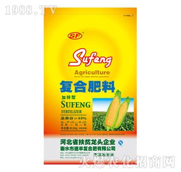 ���\�͏ͺϷ���28-6-6-���S