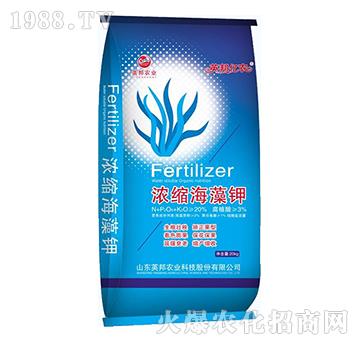 ��s�����-Ӣ��