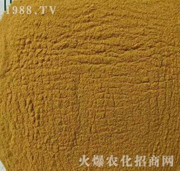 檸檬酸六元素（高鋅型）-實禾