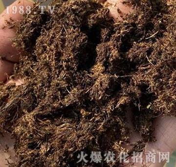 丹麥PINSTRUP泥炭土-實禾