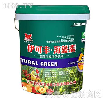 ̼ø������������-�����S��������-����