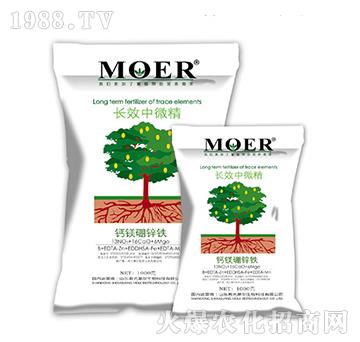 �L(zh��ng)Ч��΢��-Ħ������