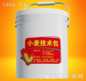 小麥技術(shù)包-實禾