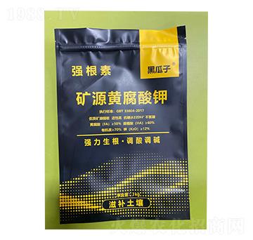 �VԴ�S�����-������-�µ����