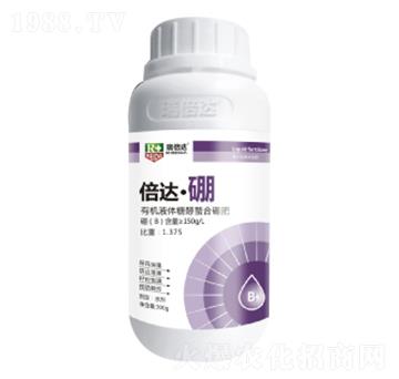 300g���_(d��)����-���_(d��)