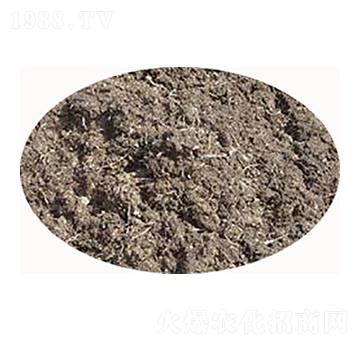 山東干雞糞-必豐生物