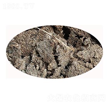 河北干雞糞-必豐生物