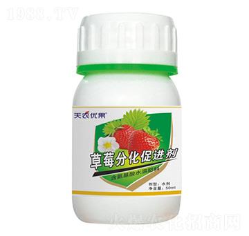 ��ݮ�ֻ����M��-���r(n��ng)��(y��u)��-���r(n��ng)����