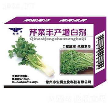 �۲��S�a���ׄ�-���v����