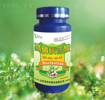 ���׺�����100-300-100+TE-�ٿ��S