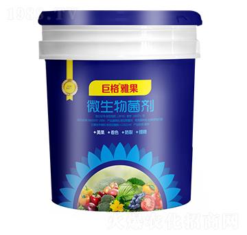 ΢�������-�Ź�-�޸�����