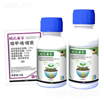 11%���ס������׾�-�Թⴺ��-ӯ�x