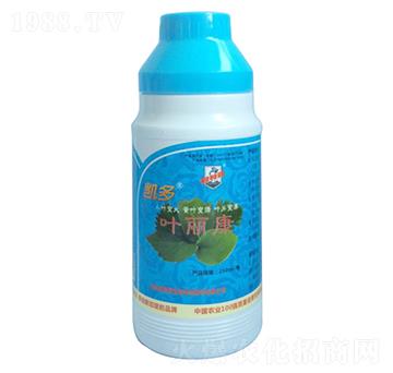 �P���~����-������