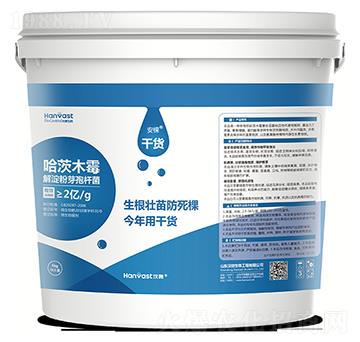 ����-��؛-�h΢����