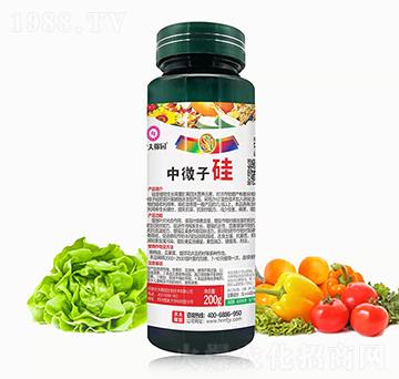 ��΢�ӹ�-�r(n��ng)��ڈ@