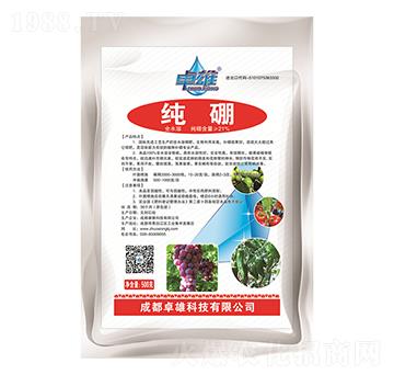 ����-׿��