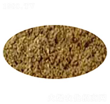 ����ѿ�ߗU����-�P����