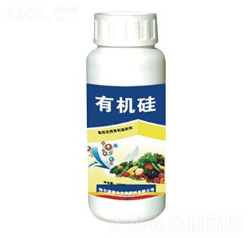 有機(jī)硅-瑞苗