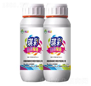 �����Dɫ-����-������