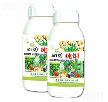 ���f ֲ���� �R������