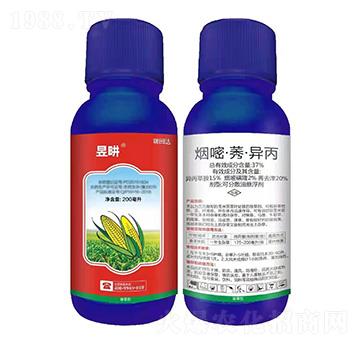 玉米田除草劑-昱畊-瑞田達(dá)