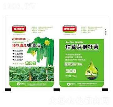 頂花增瓜嫩直長+枯草芽孢桿菌 潤澤