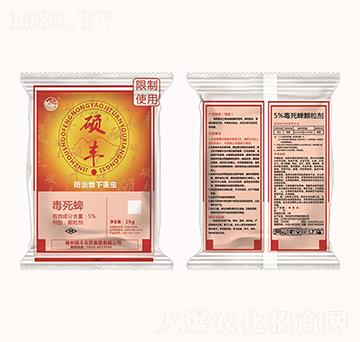 5%������-�T�S�rˎ