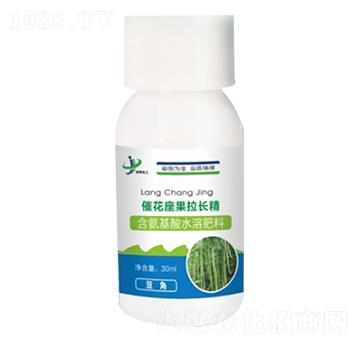 豆角專用含氨基酸水溶肥料 催花座果拉長精 金牌化工