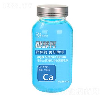 �Ǵ��} ������