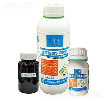 �̴�ʩ����Ԫ������ ���(gu��)�r(n��ng)�I(y��)