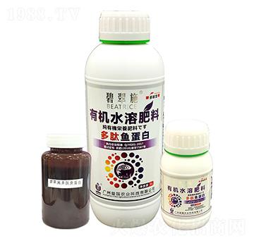 �̴�ʩ�������~���� ���(gu��)�r(n��ng)�I(y��)