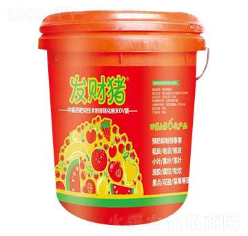 �в�ˎ�����g(sh��)���w�D(zhu��n)��DVĤ �l(f��)ؔ�i �ﲩʿ